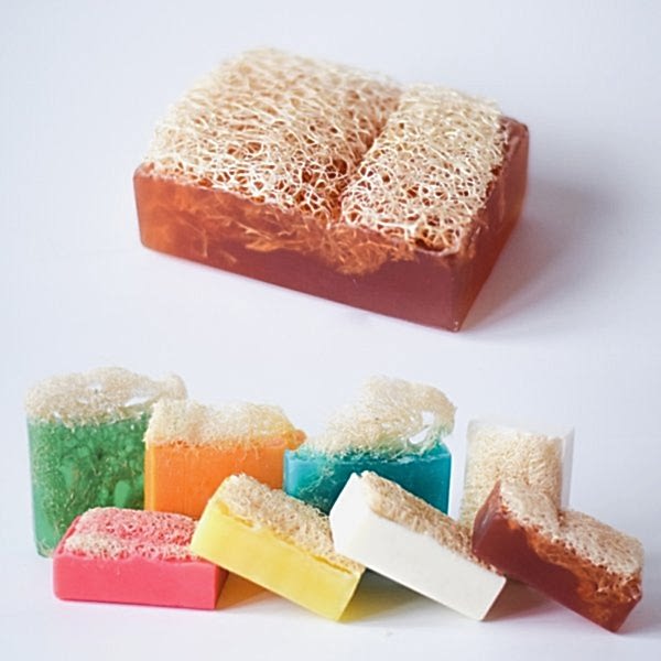 صابون من ألي اف اليقطين